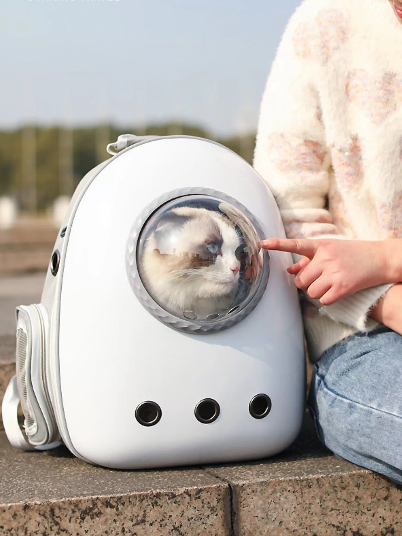 Space Capsule Ventilated Pet Carrier Backpack