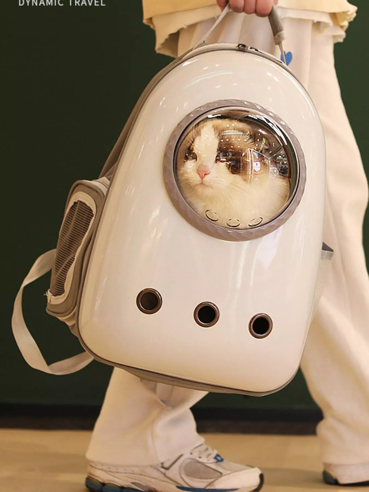 Space Capsule Ventilated Pet Carrier Backpack