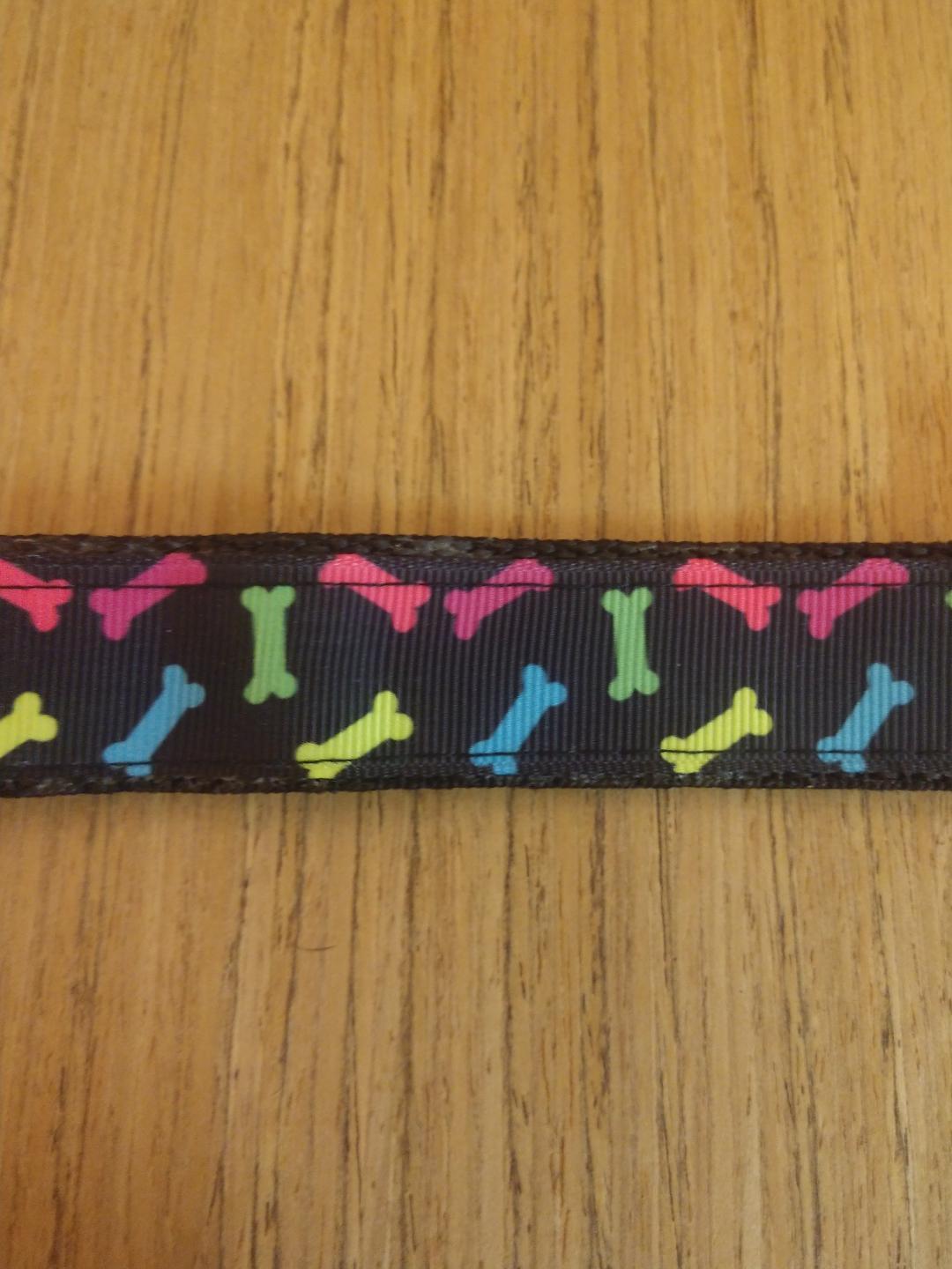 Colorful  Bones Everyday Dog Leash