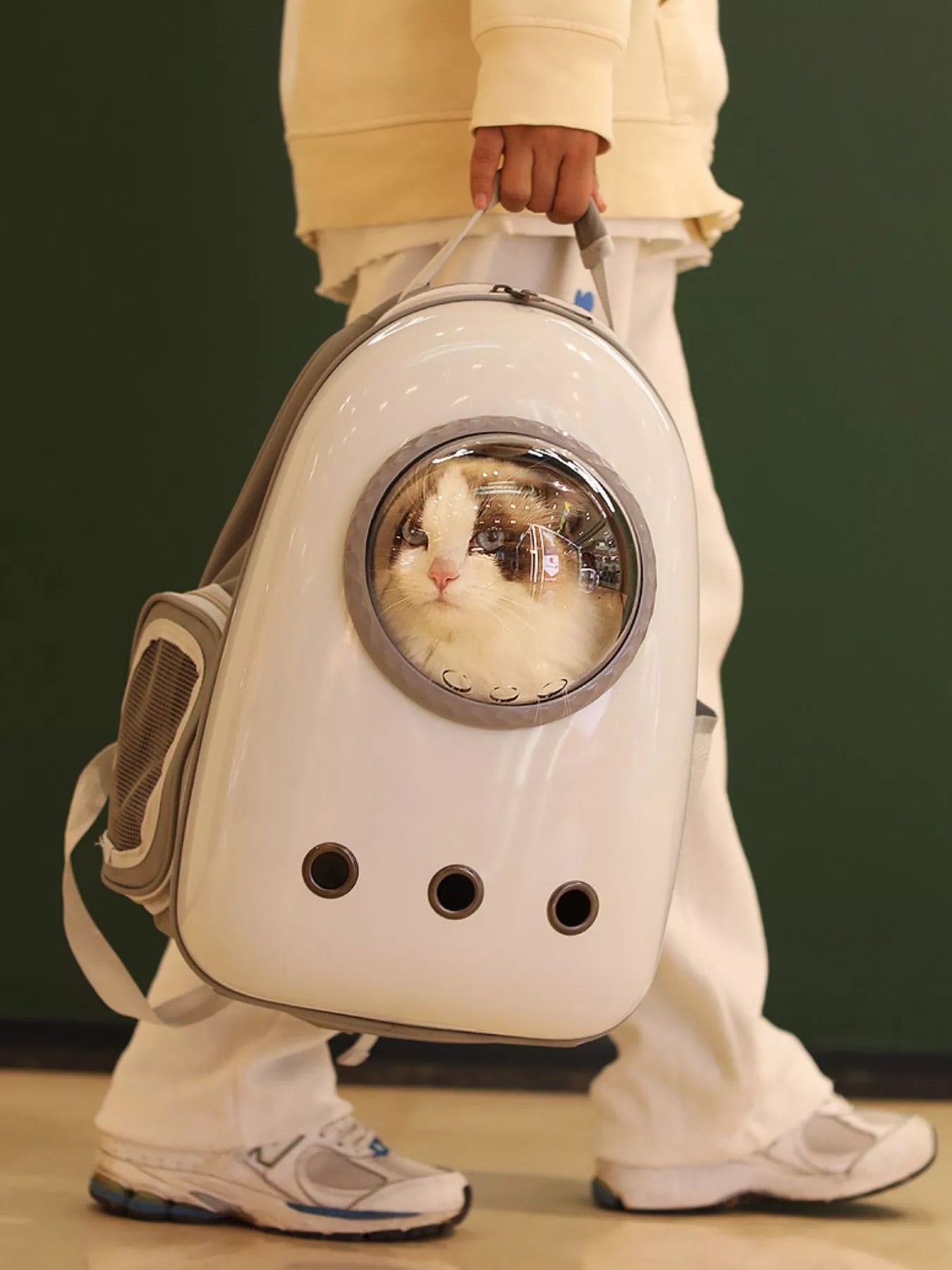Space Capsule Ventilated Pet Carrier Backpack