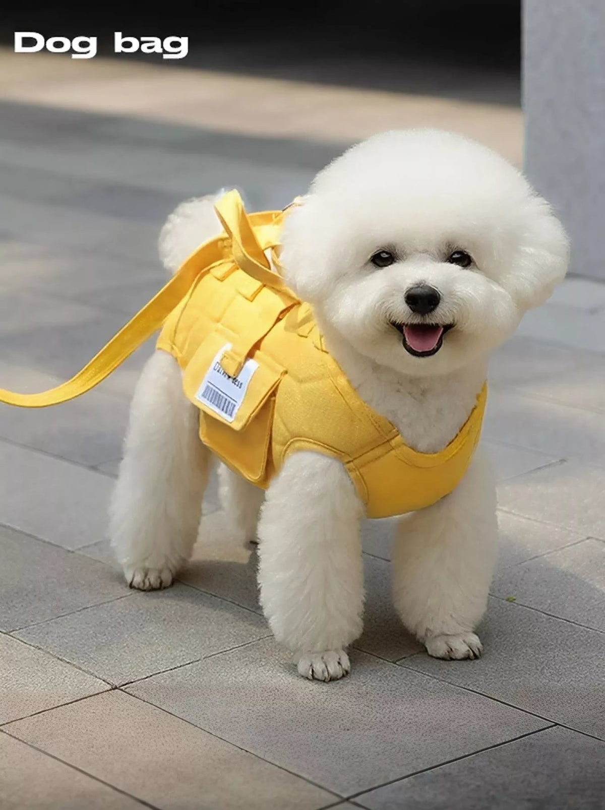 Hands-Free Small Pet Carrier Harness