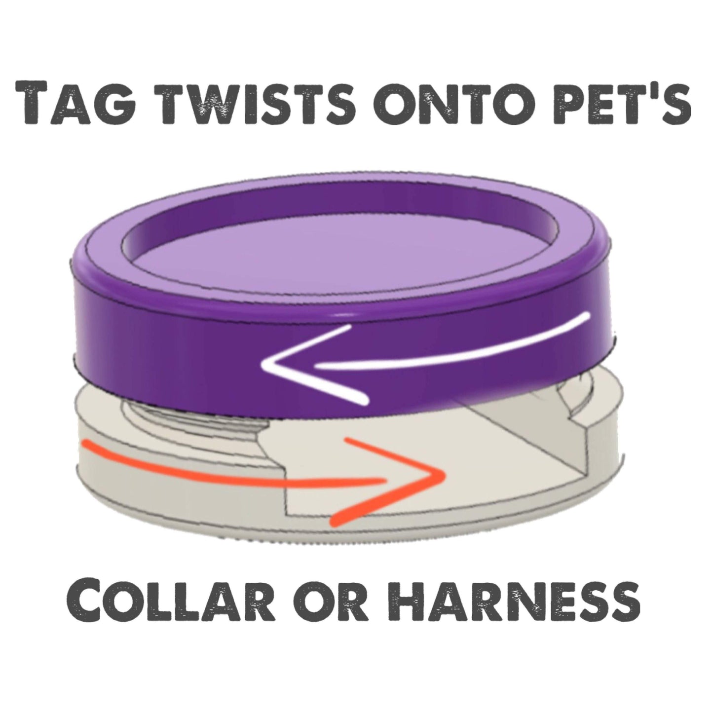 Personalized Silent Pet ID Tag – Ringless Collar & Harness Tag
