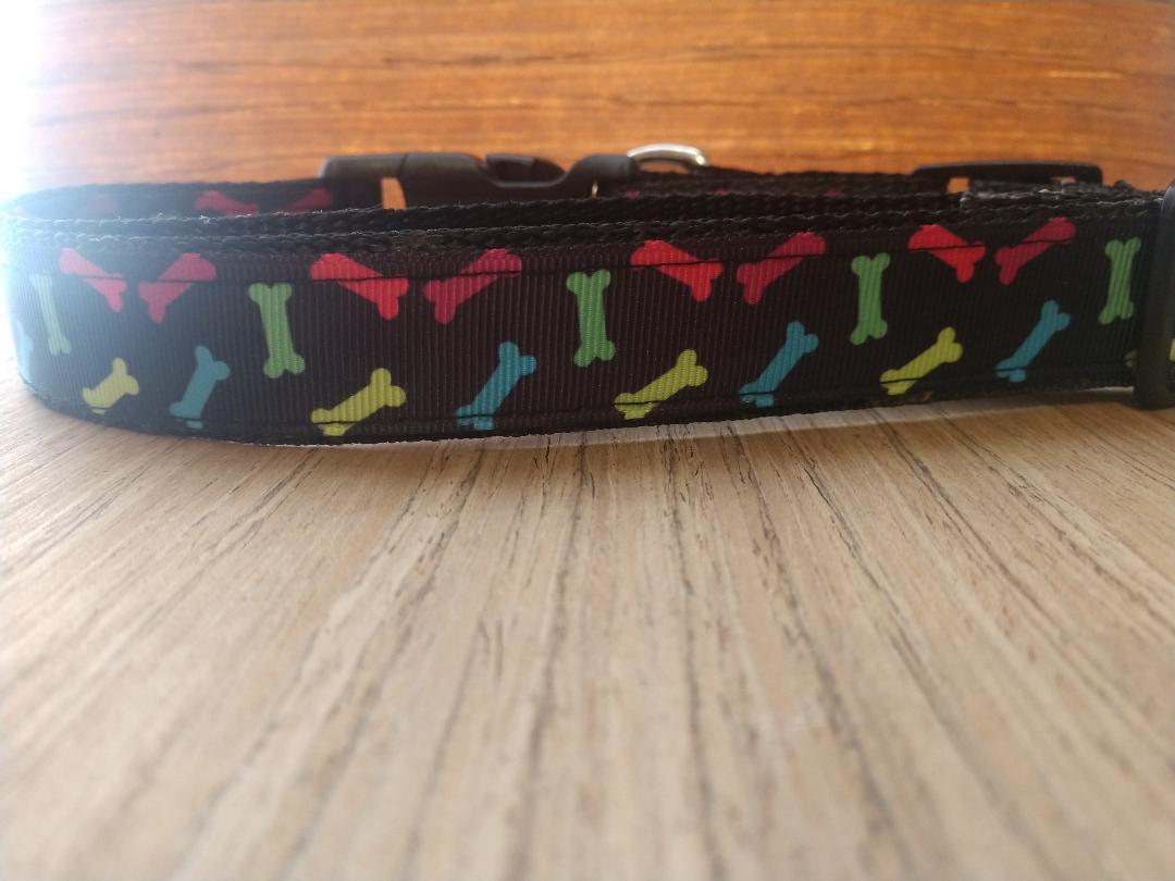 Colorful  Bones Everyday Dog Leash